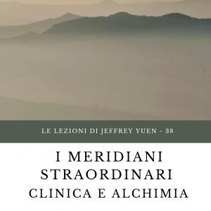 38 - Le lezioni di Jeffrey Yuen - I meridiani straordinari clinica e alchimia